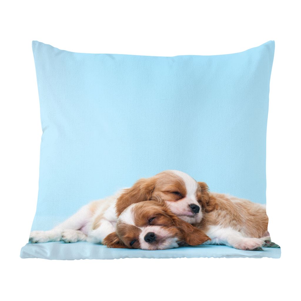 MuchoWow Zierkissen Sofakissen Wohnzimmer Dekokissen 40x40 cm Zwei Cavalier King Charles Spaniels schlafen aufeinander - Foto Kissen - Schlafzimm...