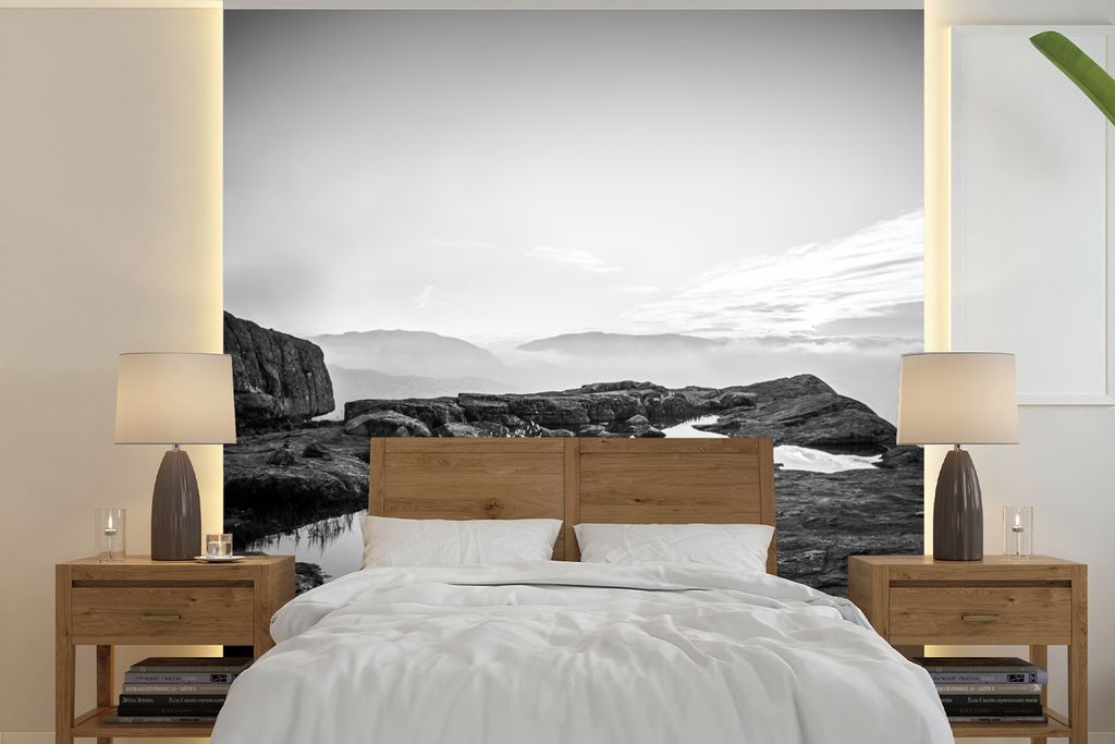 MuchoWow Fototapete für Wohnzimmer oder Schlafzimmer Wandtapete Vinyl Motivtapete Naturfoto schwarz-weiß - 280x280 cm - Hintergrundbild