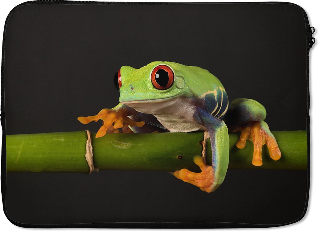 MuchoWow Laptop Hülle 13 Zoll Frosch - Bambus - Schwarz Laptoptasche - Laptophülle - Sleeve - Rundumschutz