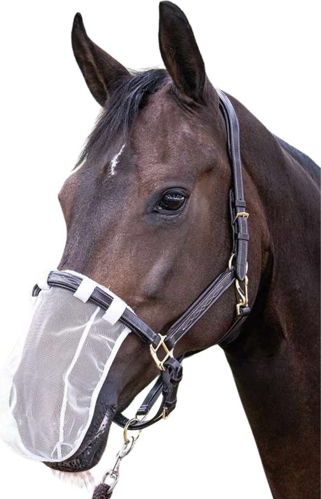 Pferde Nasenfliegenschutz Nüsternschutz Insektenmaulnetz Warmblut