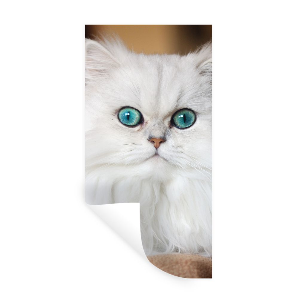 MuchoWow Wandtattoo Wandsticker Wandaufkleber Schneeweiße Perserkatze 60x120 cm Selbstklebend und Repositionierbar - Selbstklebend - Fototapeten
