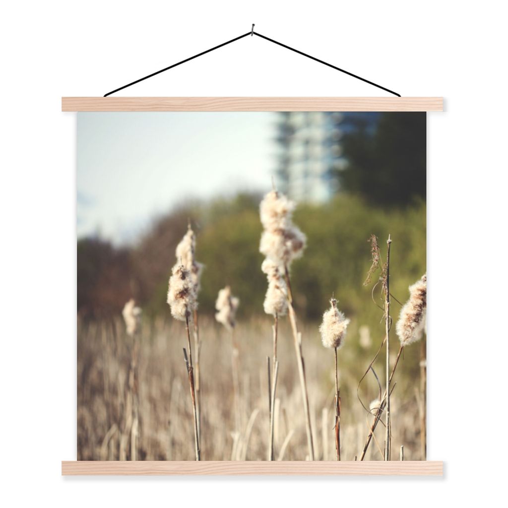MuchoWow Textilposter Baumwolle - Sonne - Pflanzen 40x40 cm mit holzfarbenen Rahmen - Posterleiste