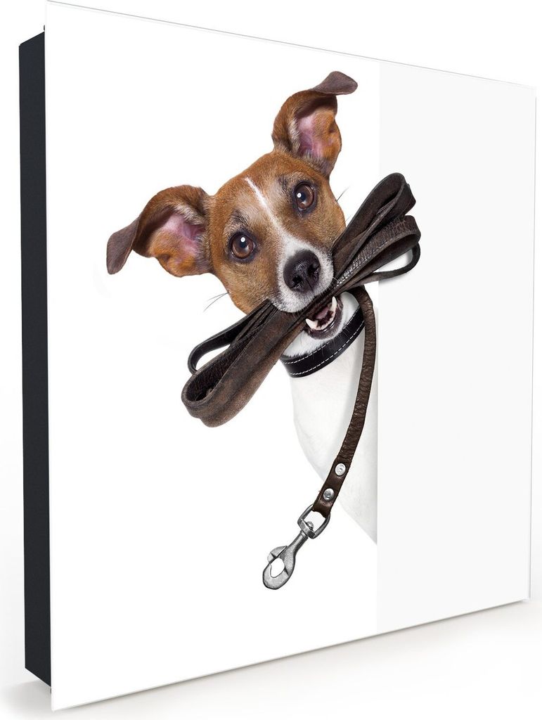 Nachbildung-Schlüsselkasten, Magnetpinnwand und Memoboard mit Glasfront Motiv Hund mit Sonnenbrille