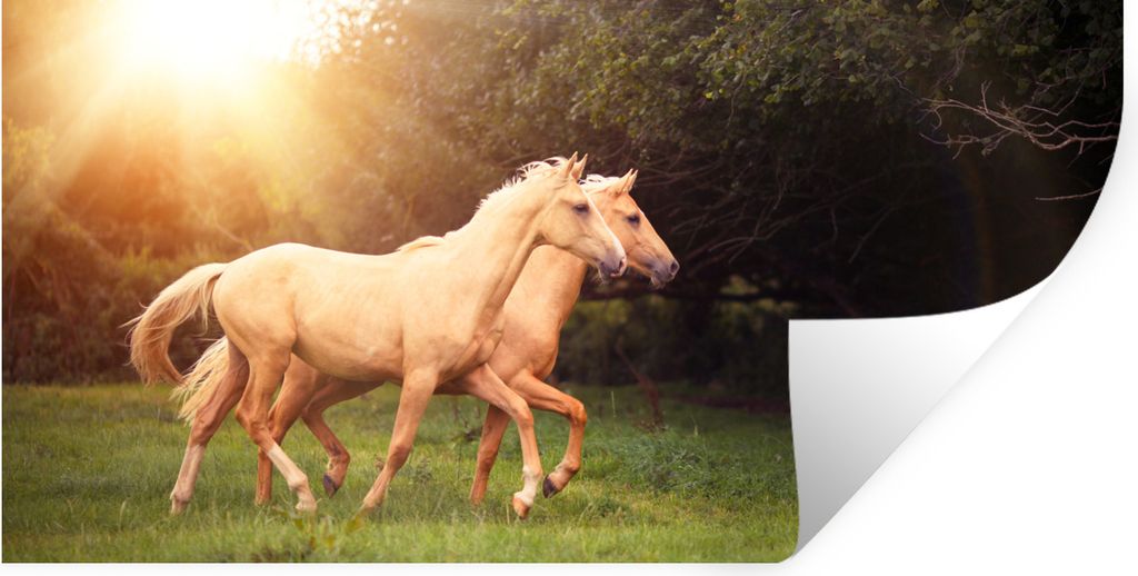MuchoWow Wandtattoo Wandsticker Wandaufkleber Pferde - Wald - Sonne 80x40 cm Selbstklebend und Repositionierbar - Aufkleber