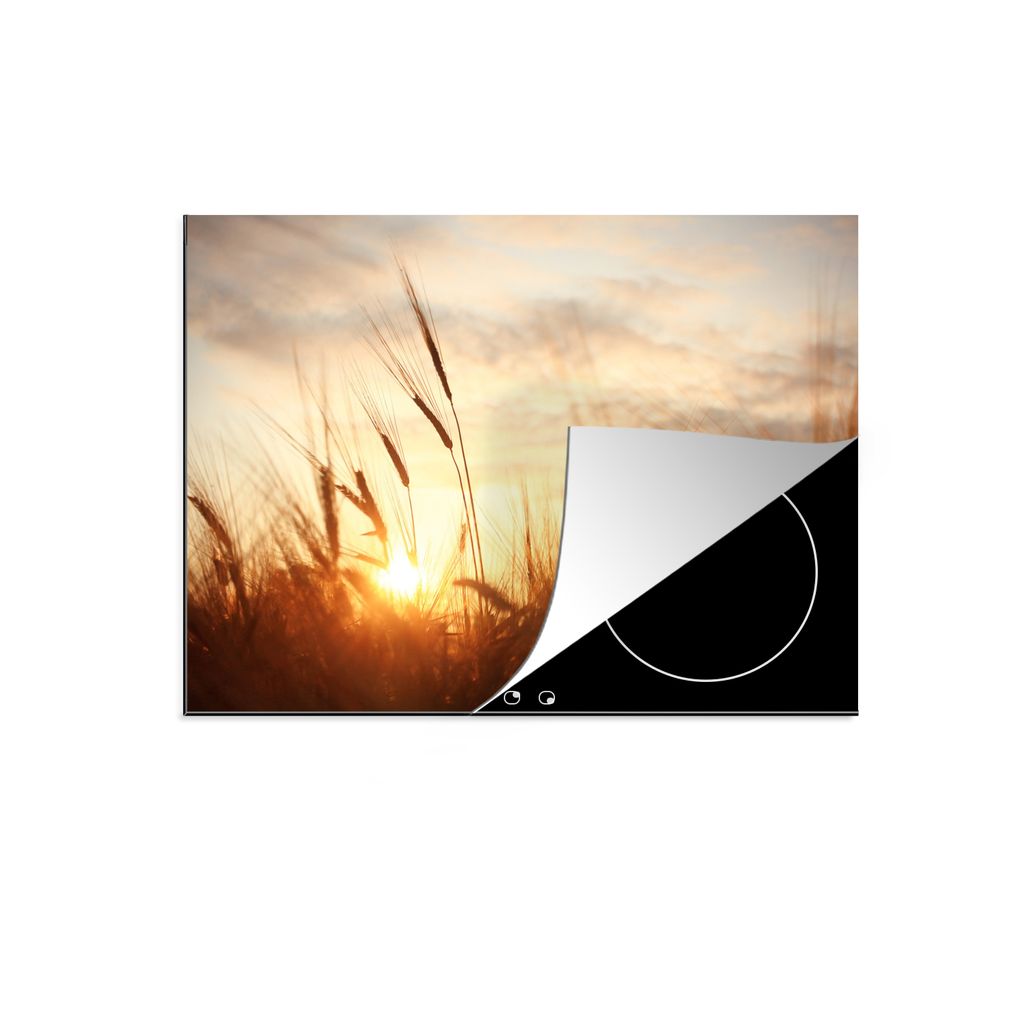 KitchenYeah Herdabdeckplatte Schilf - Gras - Sonnenuntergang - Natur - Horizont , 57x51cm, Küche Deko, Glaskeramikkochfeld Herdabdeckung, Abdeck...