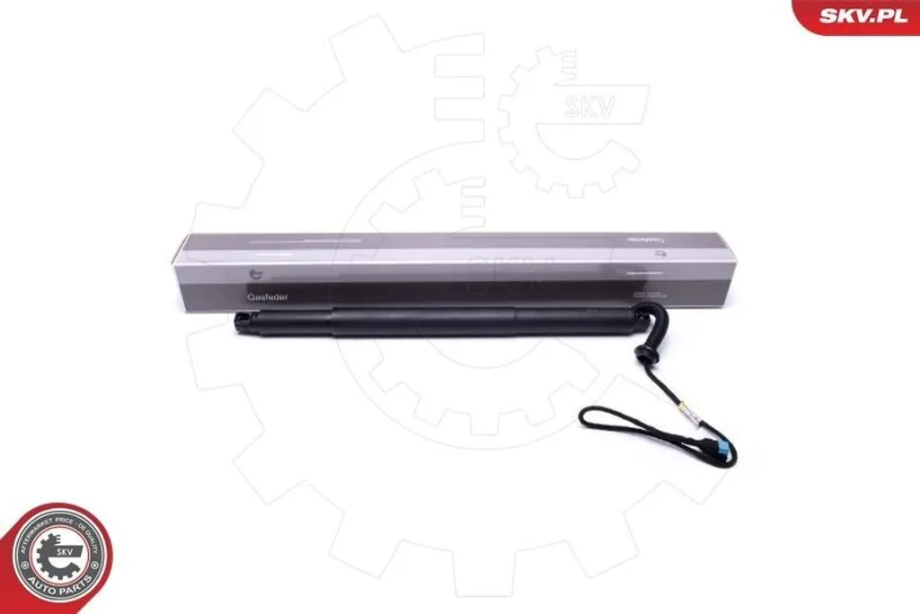 Aide à l'Ouverture de Coffre Électrique pour BMW X6 F16 F86 ESEN SKV