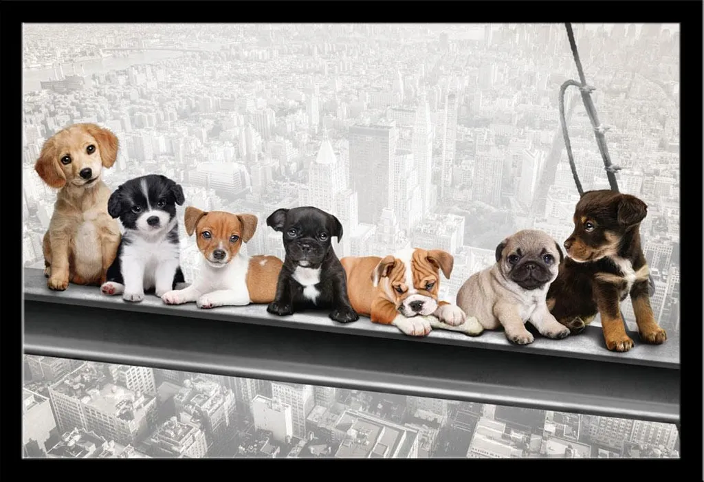 Décoration Murale Loft New York Poster Chiens sur Poutre Cadre Amovible