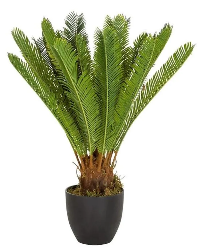 Palmier Cycas artificiel 70cm - 24 feuilles vertes - Petit palmier (871004)