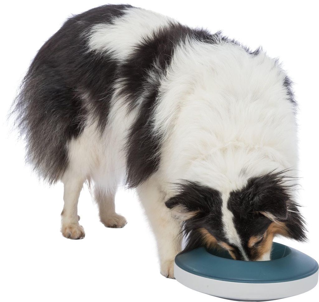TRIXIE Slow Feeding Rocking Bowl, Kunststoff/TPR, 0,5 L, Grau/Blau