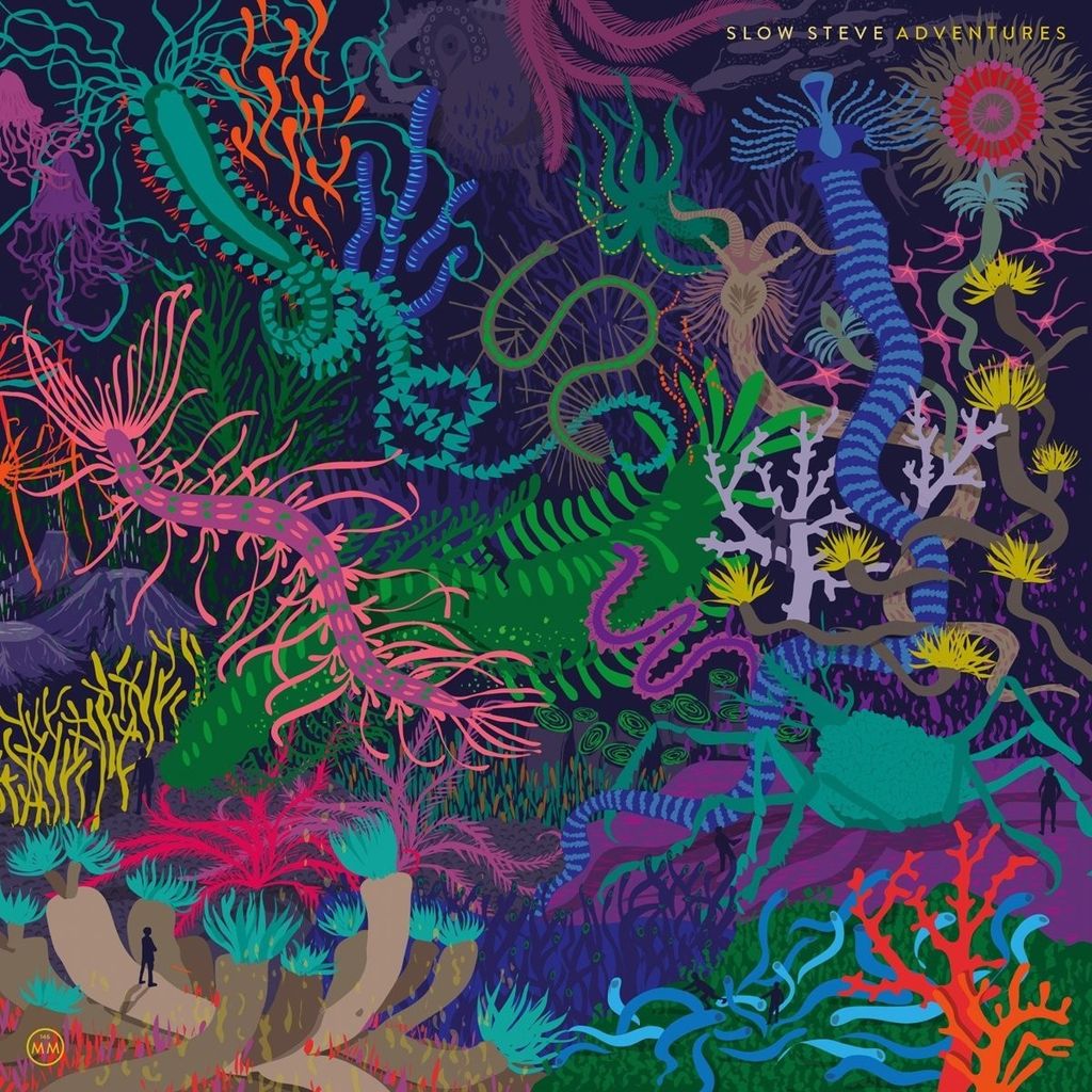 Slow Steve-Adventures
