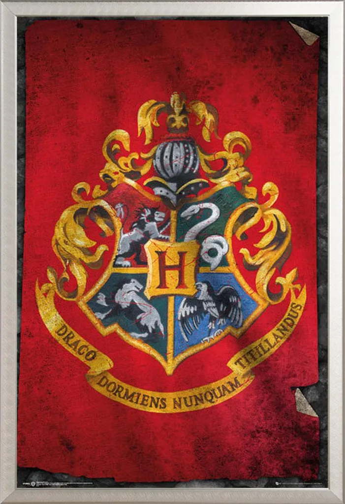 Poster Harry Potter Bandiera Hogwarts con Cornice Alluminio Shinsuke