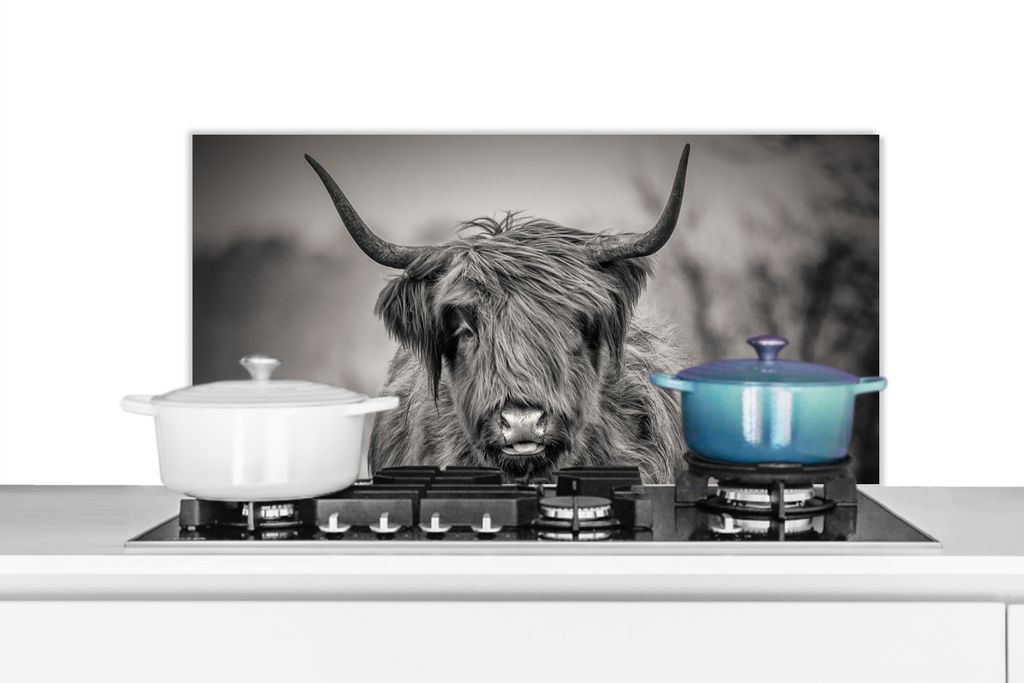 KitchenYeah Spritzschutz Küche - Küchenrückwand - Wandschutz für Herd und Spüle - Schottisches Hochlandrind - Porträt - Schwarz und Weiß 9...