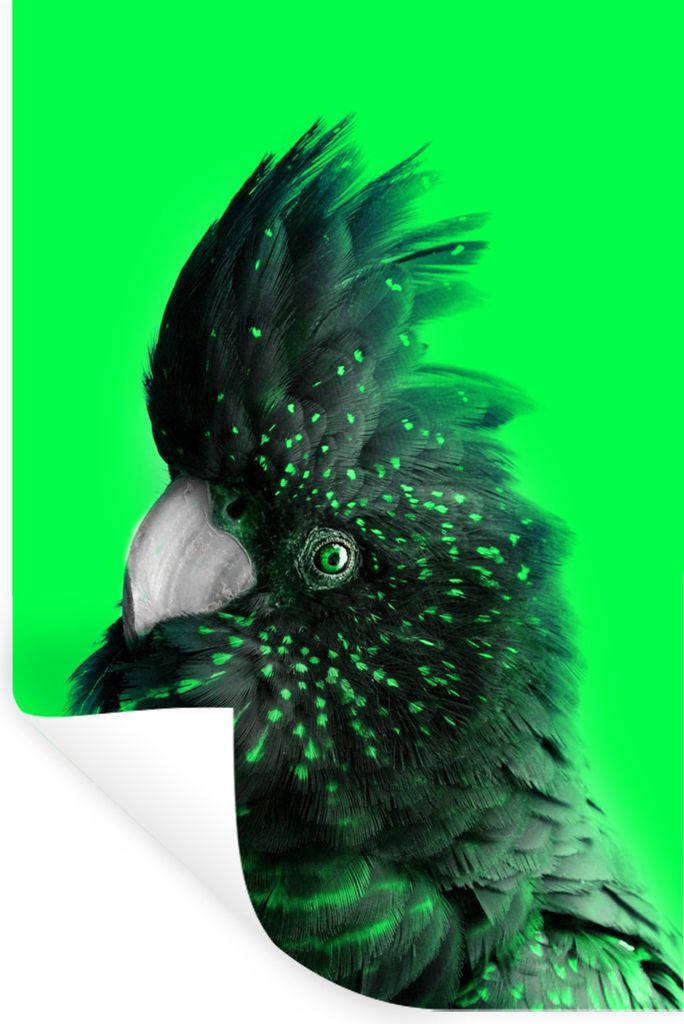 MuchoWow Wandtattoo Wandsticker Wandaufkleber Kakadu - Vogel - Grün 40x60 cm Selbstklebend und Repositionierbar - Wierderverwendbar - Selbstklebend