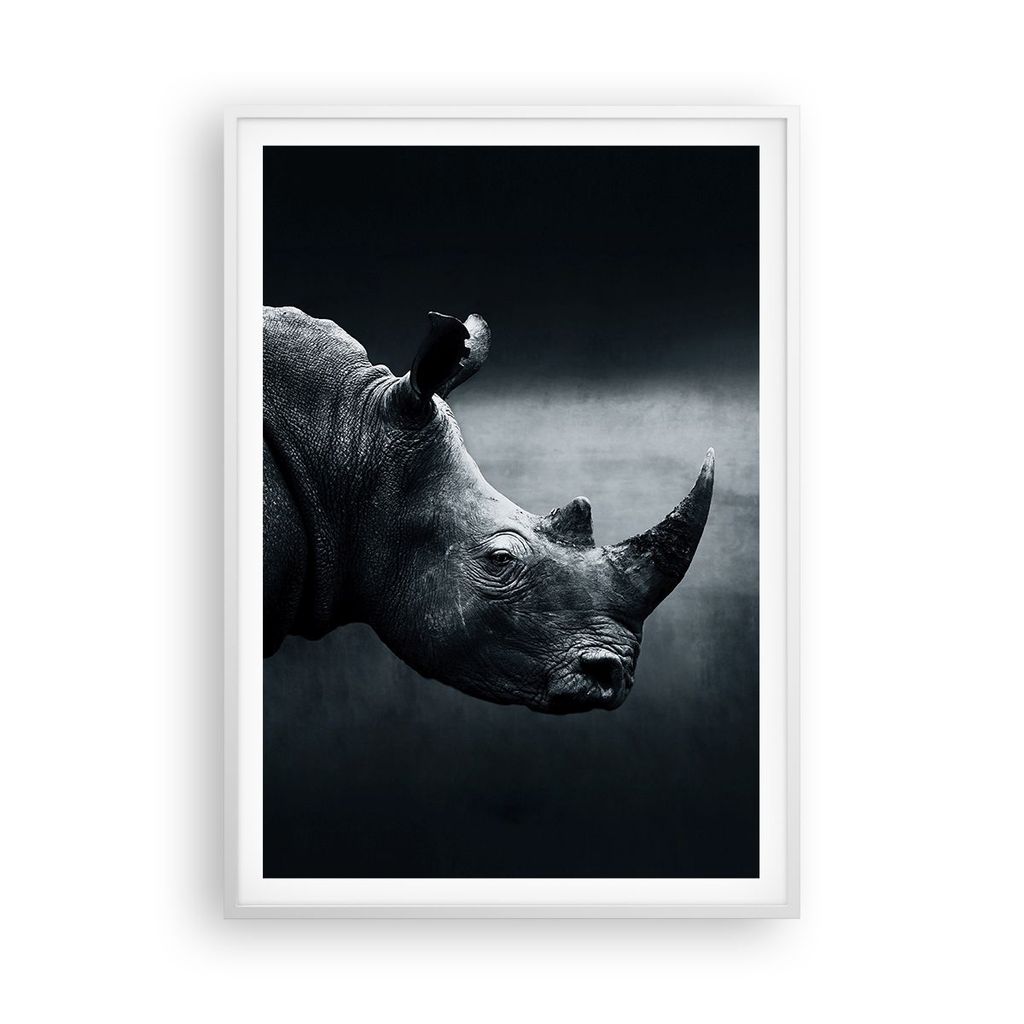 Gerahmtes Poster - Weißer Rahmen - Nashorn Schwarzweiß Porträt - 70x100 cm - Wand Bild - Wanddeko - Wandbilder - Wandposter - Bilderrahmen - Bil...