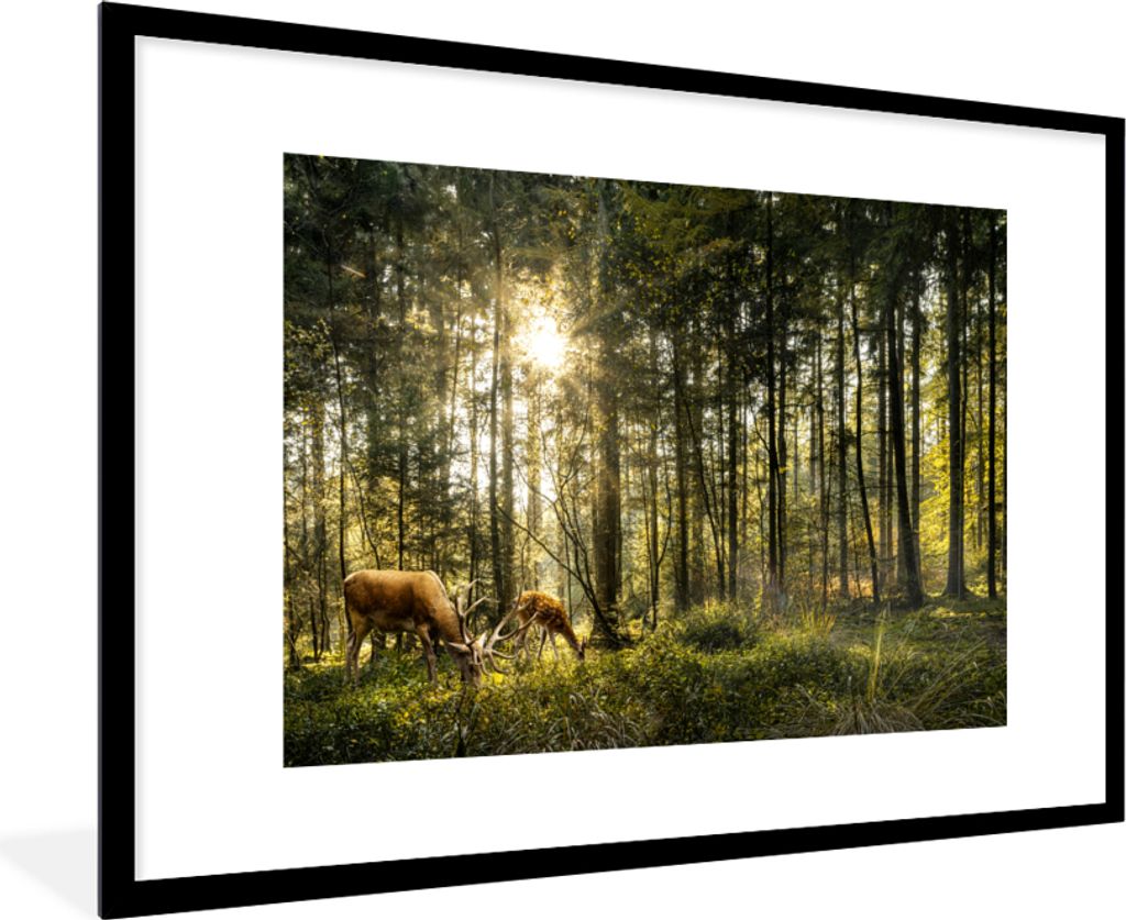 MuchoWow MuchoWow Gerahmtes Poster Hirsche - Natur - Wald 90x60 cm - Poster mit zchwarzem Bilderrahmen - Wanddekoration - Fotos