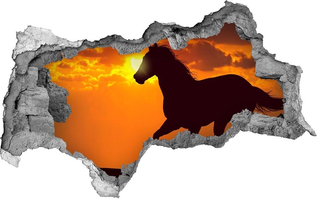Selbstklebender Loch-3D-Aufkleber 95x73 cm Pferd Sonne