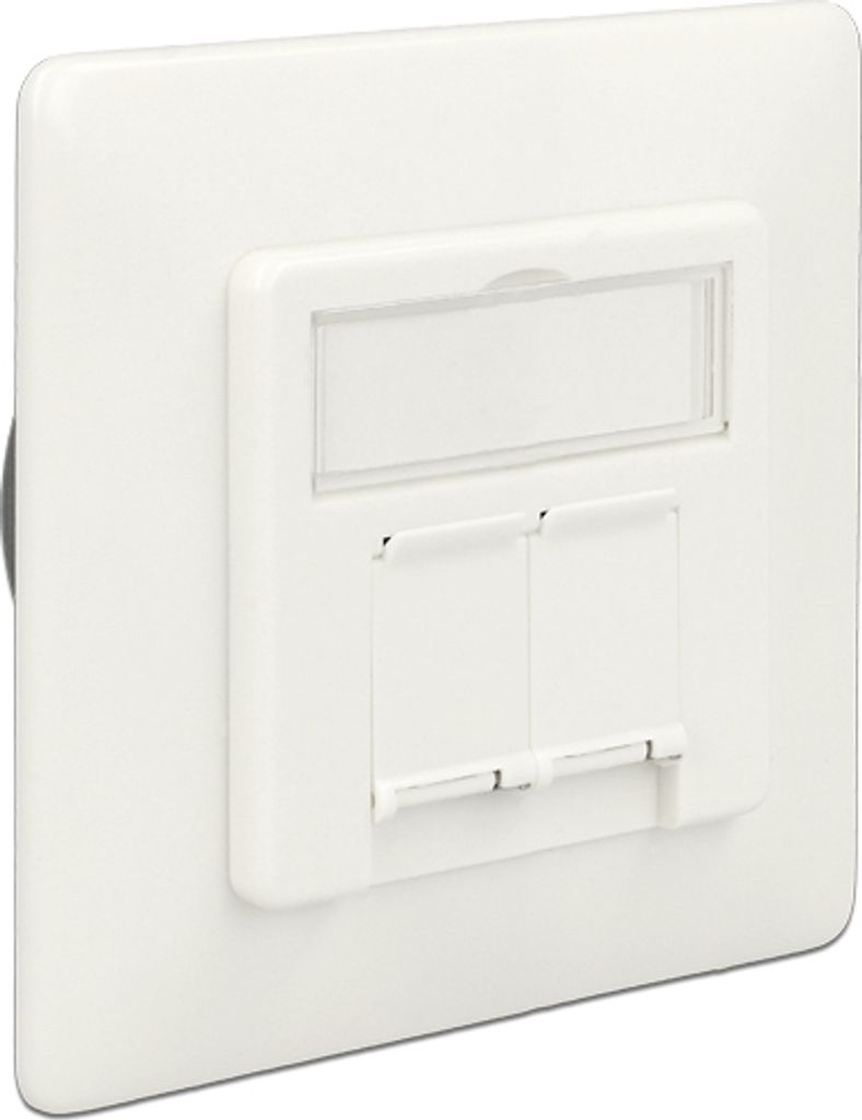 Delock Netzwerk Anschlussdose Unterputz 2 Port Cat.6A LSA (86195)