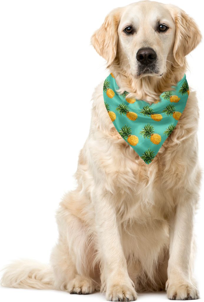 ABAKUHAUS Obst Haustier Bandana, Tropische Ananas-Blätter, 40x40 cm, Türkis Gelb