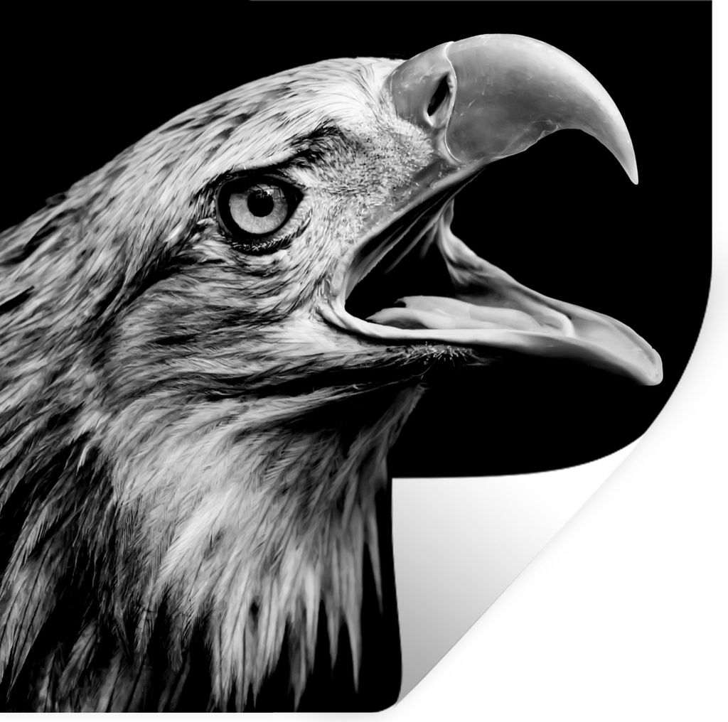 MuchoWow Wandtattoo Wandsticker Wandaufkleber Adler - Porträt - Raubvögel - Schwarz - Weiß - Vogel 30x30 cm Selbstklebend und Repositionierbar...