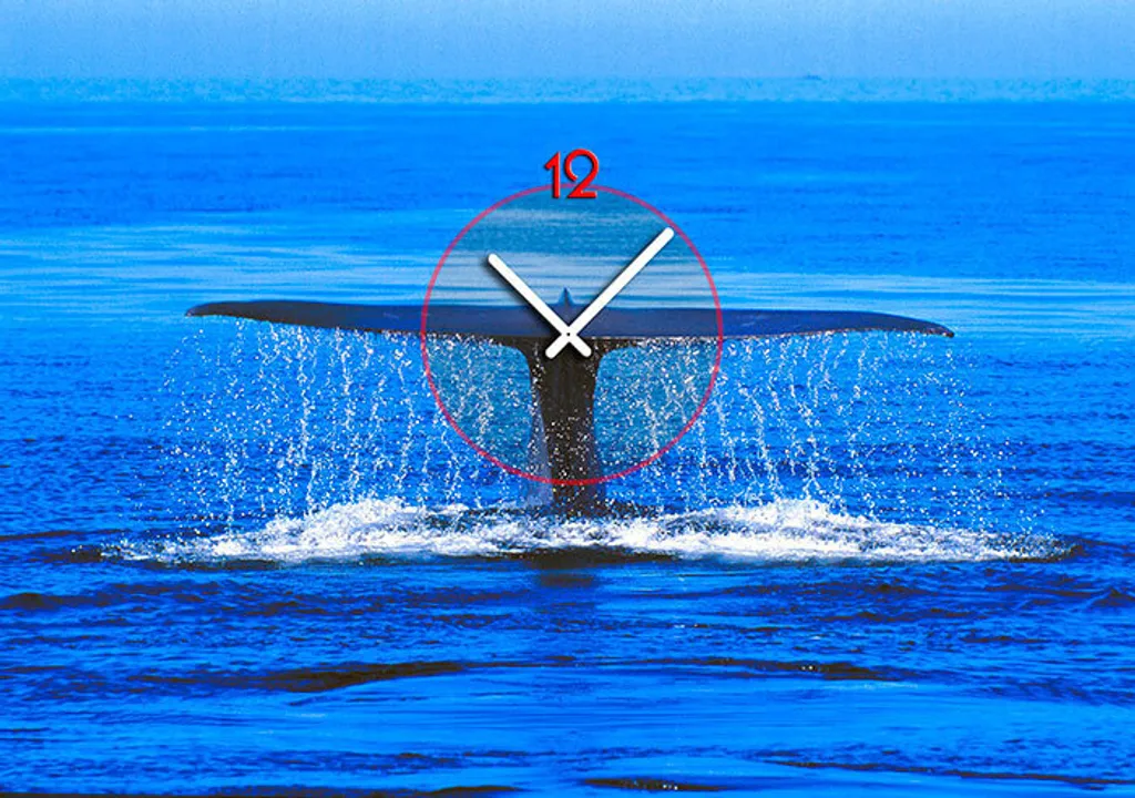 Orologio da Parete Design Dixtime 6079 - 35x50cm Moderno Silenzioso