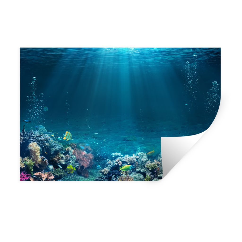 MuchoWow Wandtattoo Wandsticker Wandaufkleber Ozean - Fische - Korallen 90x60 cm Selbstklebend und Repositionierbar - Aufkleber