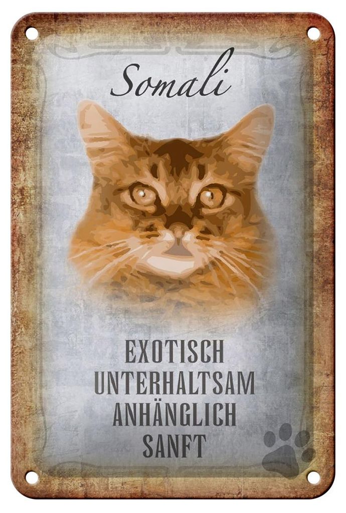Blechschild Spruch 12x18cm Somali Katze Schild deko