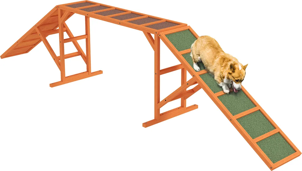 PawHut Passerella Agility: Design in Legno e Massima Sicurezza Cani