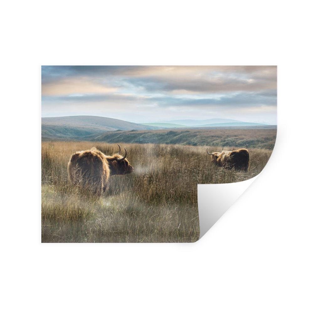 MuchoWow Wandtattoo Wandsticker Wandaufkleber Schottische Highlander - Nebel - Gras 160x120 cm Selbstklebend und Repositionierbar - Selbstklebend...