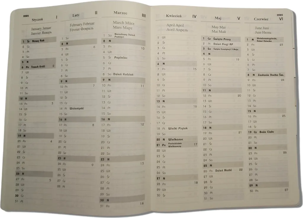 Agenda bleu A4 journalier à insert interchangeable et couverture rigide - 7