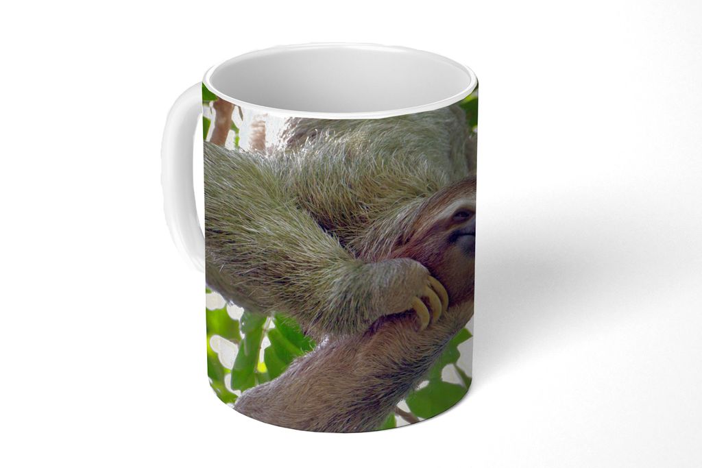 KitchenYeah Tasse Kaffeetasse Kaffeebecher 350 ml Ein lachendes Faultier hängt in den grünen Bäumen Teetasse - Fototasse - Becher - Keramikbec...