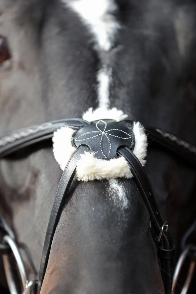 Briglia western tubolare in cuoio con redini e boccole in metallo: Pony
