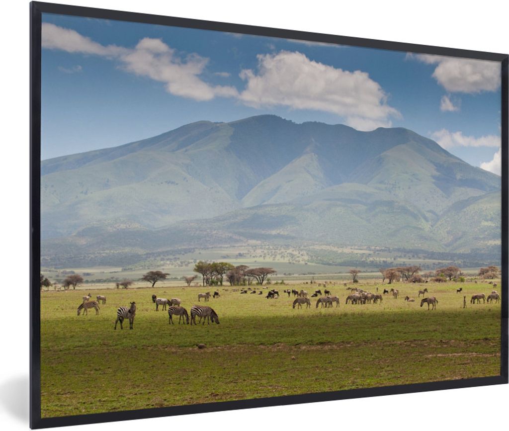 MuchoWow Gerahmtes Poster Wilde Tiere beim Grasen in der Savanne des Serengeti-Nationalparks 90x60 cm - Poster mit Schwarzem Bilderrahmen Wandpos...