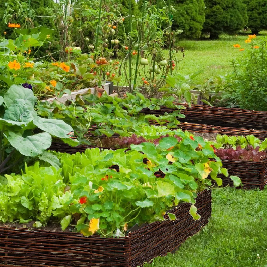 Clôture de Jardin Basse en Saule 100x30 cm - Délimitation Potager et Fleurs - 2