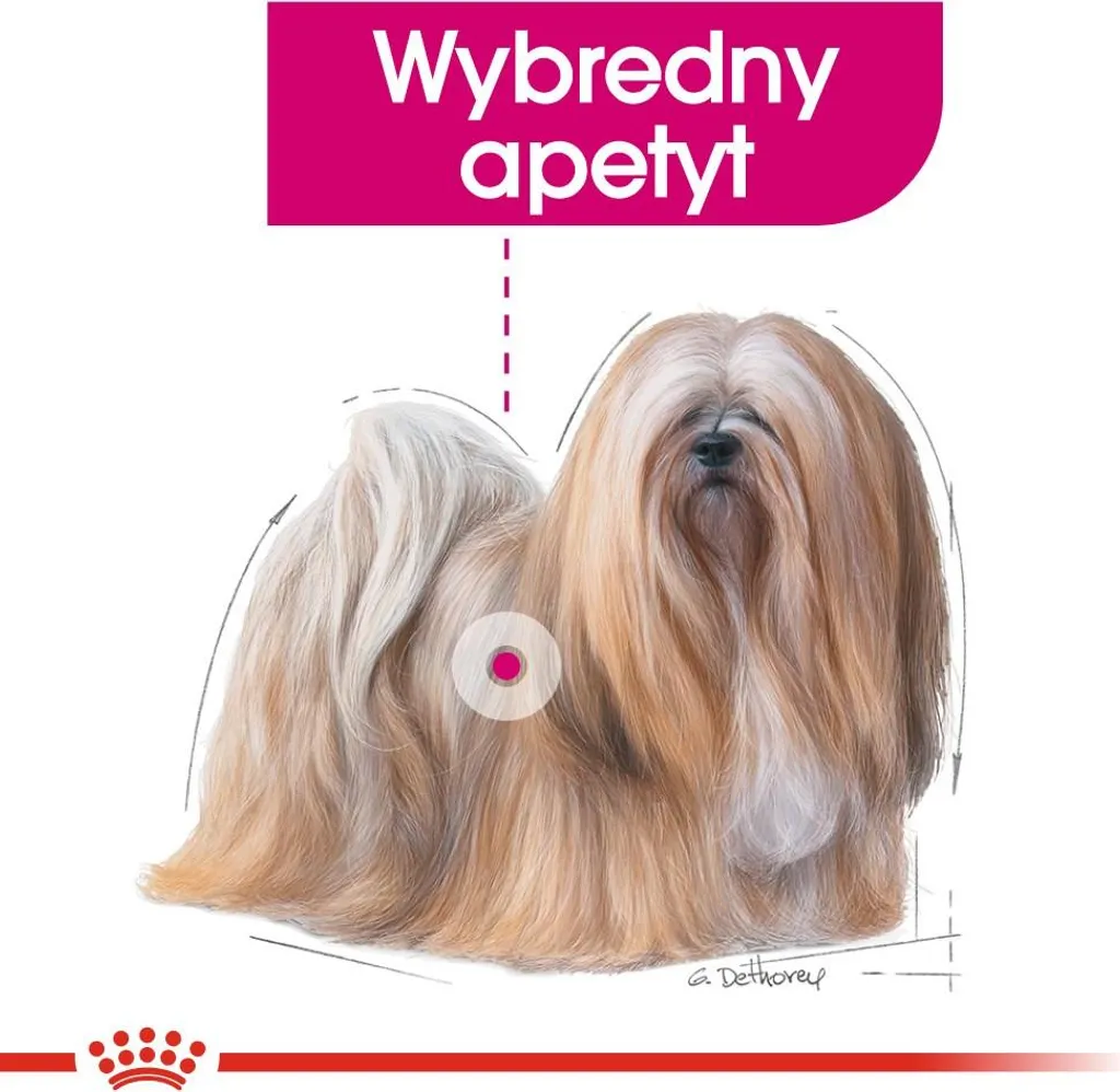 Solution Chien Difficile Royal Canin Mini Exigent Appétit Difficile 1kg - 5