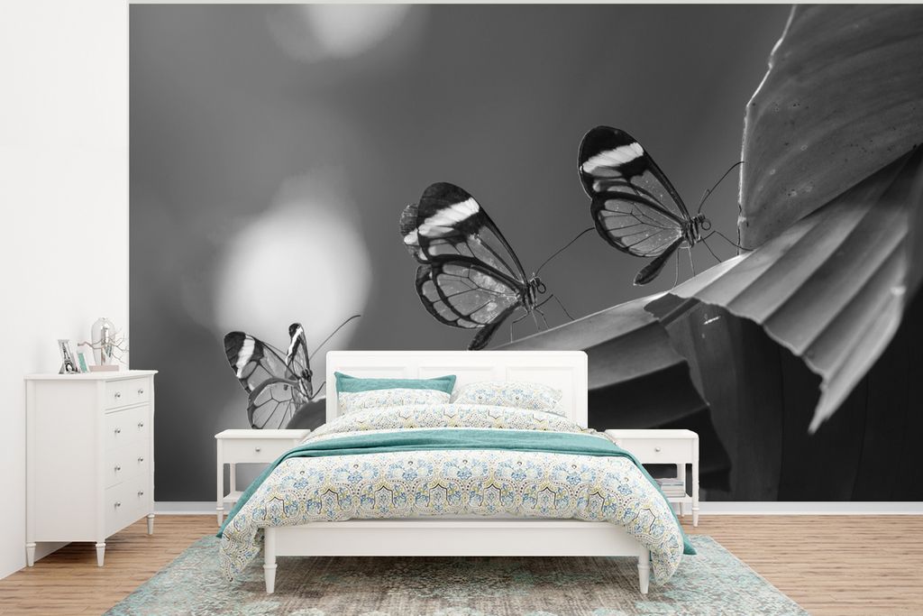 MuchoWow Fototapete für Wohnzimmer oder Schlafzimmer Wandtapete Vinyl Motivtapete Transparenter Schmetterling auf einem Blatt in Costa Rica in s...