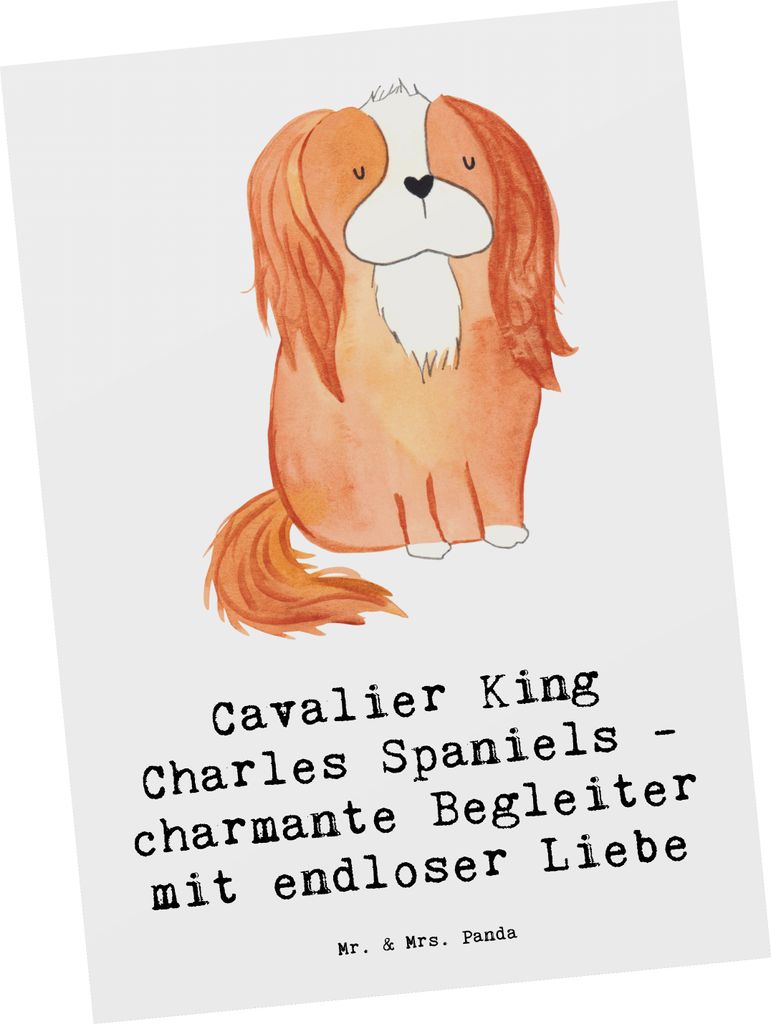 Mr. & Mrs. Panda Postkarte Cavalier King Charles Spaniel Produktbild 