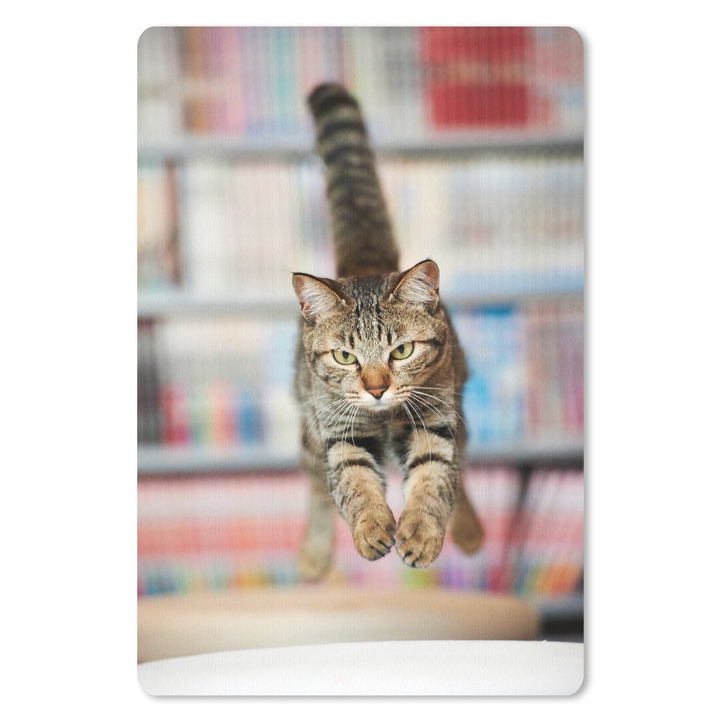 MuchoWow Mauspad Mousepad Katze - Frühling - Stuhl 40x60 cm - Mousepads - Maus Mat - Pad - Mausunterlage - Schreibtisch Accesoire
