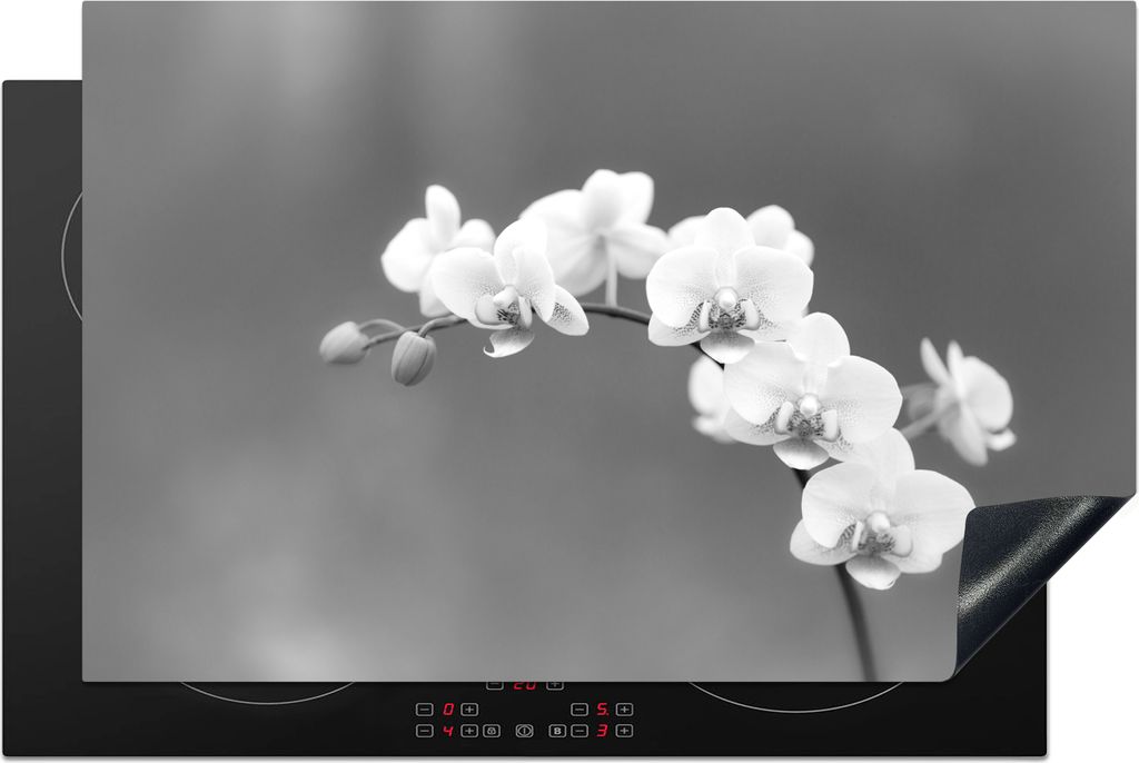 KitchenYeah Herdabdeckplatte Orchidee - Blumen - Pflanze - Weiß - Lila , 81x52cm, Küche Deko, Glaskeramikfeld Herdabdeckung, Abdeckplatte fùr ...