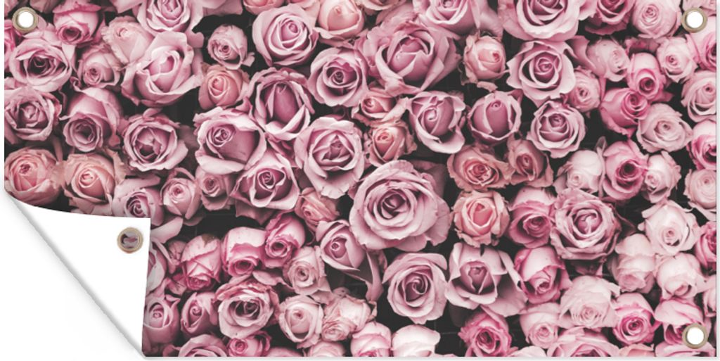 MuchoWow 80x40 cm Outdoor-Poster Gartendeko Sichtschutz Garten Poster für den Garten Blumen - Rosen - Natur - Rosa - Botanisch