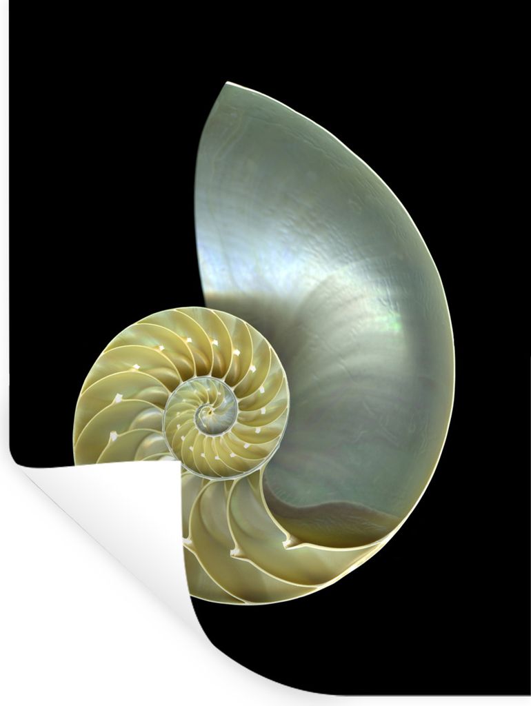 MuchoWow - Repositionierbar - Wasser abweisend