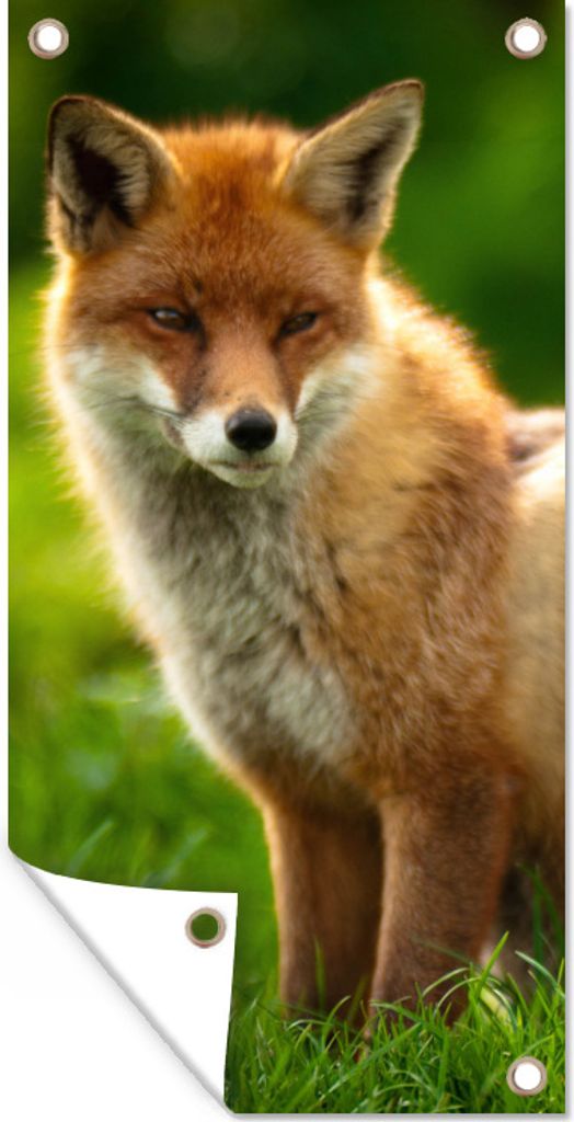 MuchoWow 40x80 cm Outdoor-Poster Gartendeko Sichtschutz Garten Poster für den Garten Fuchs - Licht - Gras