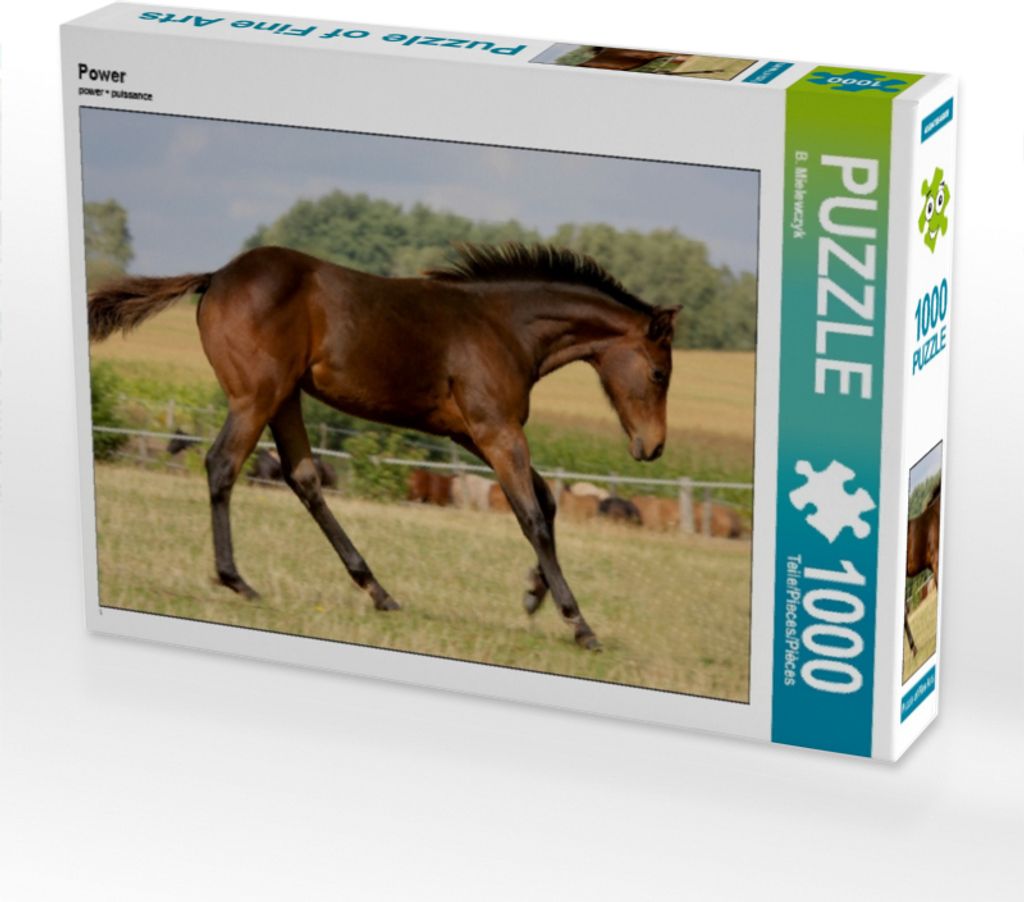 Calvendo Power 1000 Teile Puzzle quer 640x480mm, Mielewczyk B.; 7439220