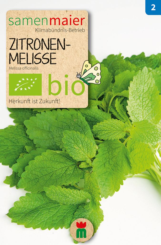 Zitronenmelisse - 0.3 g Saatgut