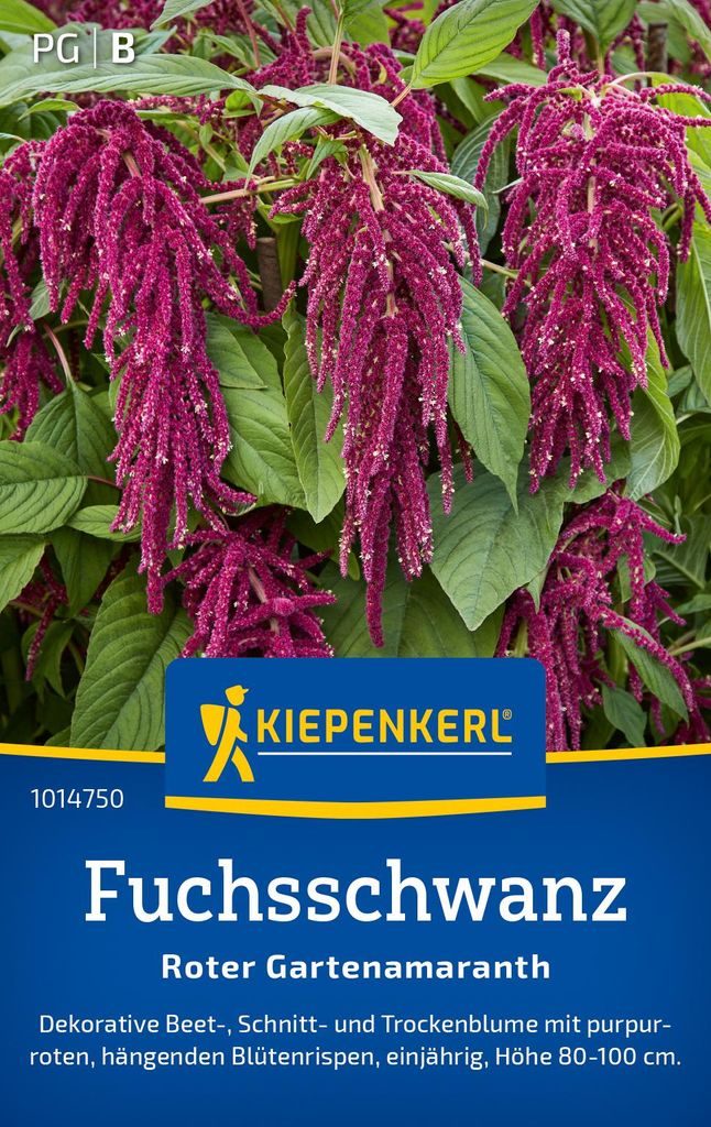 Kiepenkerl Fuchsschwanzsamen Roter Gartenamaranth Produktbild 