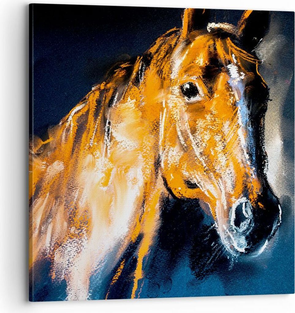 Bild auf Leinwand - Leinwandbild - Pferd Natur Tier - 70x70cm - Wand Bild - Wanddeko - Wandbilder - Leinwanddruck - Bilder - Kunstdruck - Wanddekor...