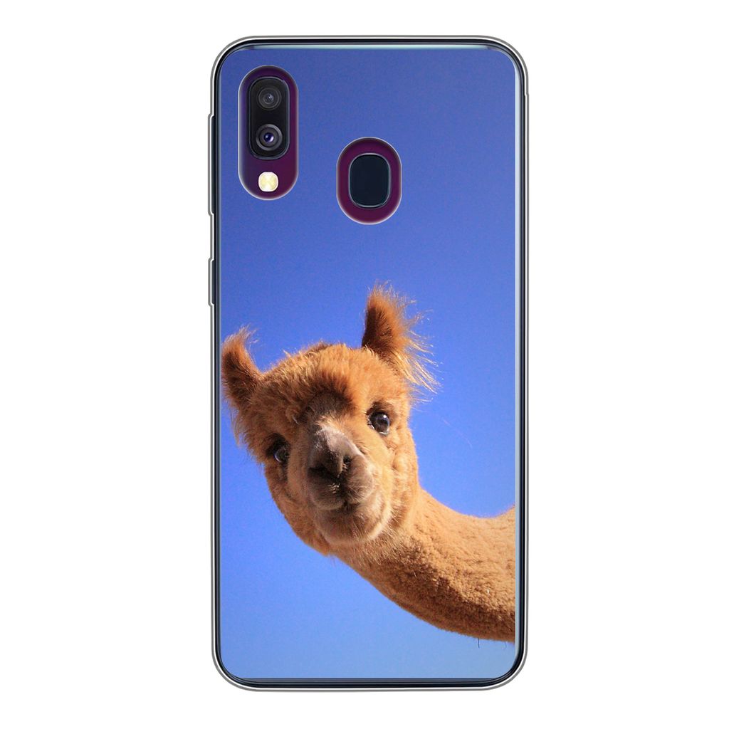 MuchoWow Handyhülle Schutzhülle Hülle für Samsung Galaxy A40 Alpaka - Braun - Blau Silikon Softcase Handy Hülle - Handy-Tasche