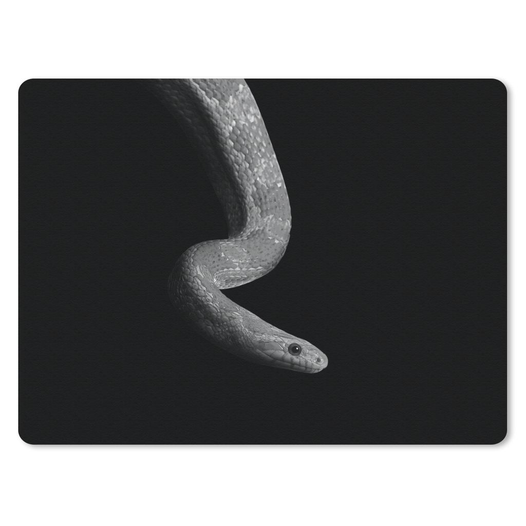 MuchoWow Mauspad Mousepad Tiere - Schlange - Schwarz - Weiß - Porträt 23x19 cm - Mousepads - Maus Mat - Pad - Mausunterlage - Schreibtischunter...