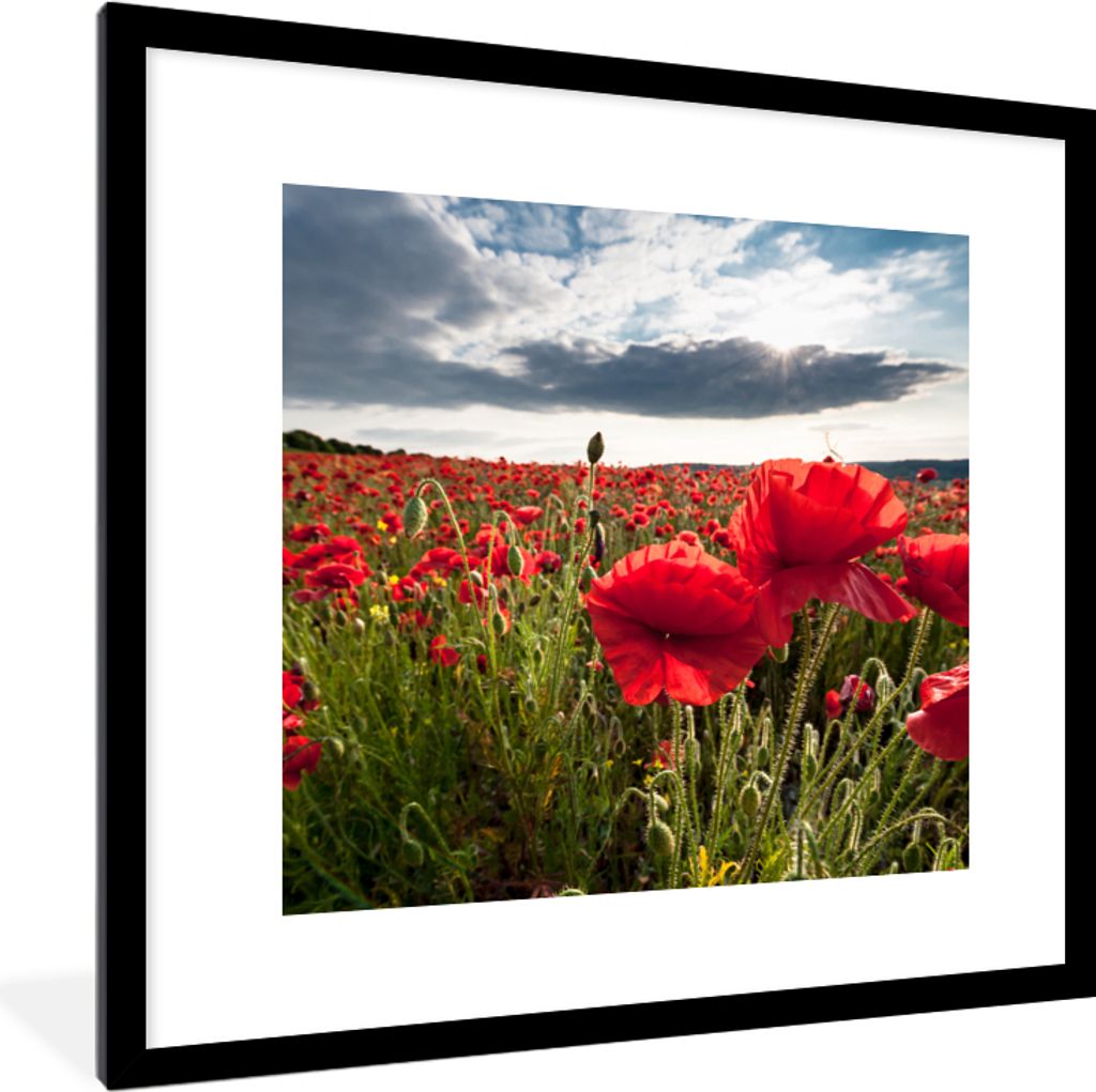 MuchoWow Gerahmtes Poster Mohnblumen vor einem dramatischen, stürmischen Himmel 40x40 cm - Poster mit Schwarzem Bilderrahmen Wandposter Rahmen F...
