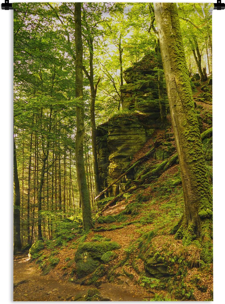 MuchoWow Wandteppich Wandbehang Bäume - Stein - Wald - Natur - Pflanzen 120x180 cm Tapisserie Dekoration Wandtuch - Schlafzimmer - Dekorationen ...