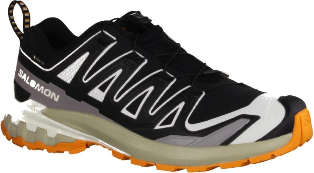 Salomon XA PRO 3D V9 GTX grau Herren Walkingschuh in Mehrfarbig, Größe 9.5